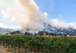california wildfires wine california vineyard wildfires